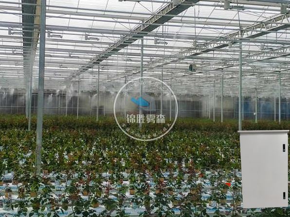 Sistema de nebulización de invernadero llave en mano
