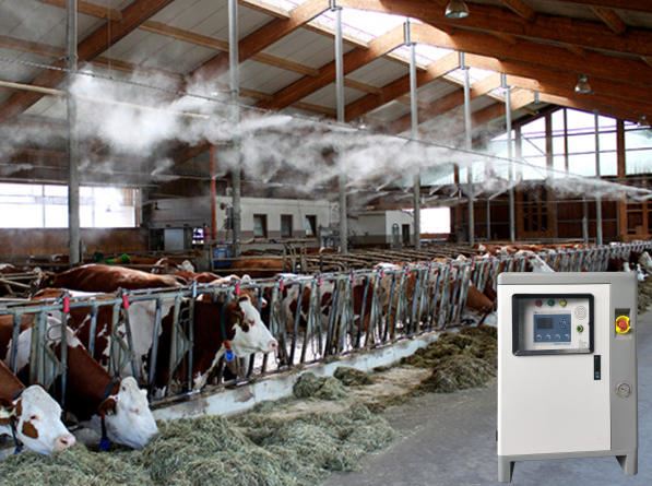 Sistemas de nebulización en granja avícola